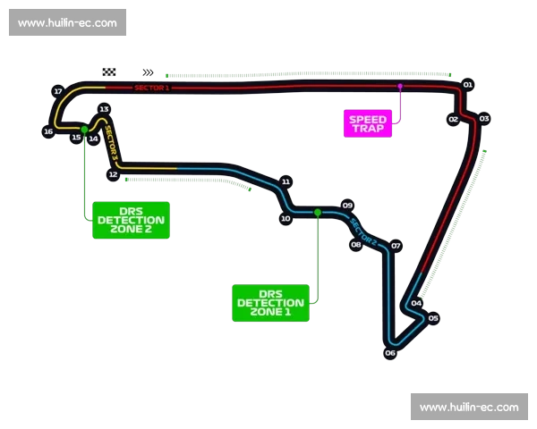 F1车队赛道策略解析及赛季胜负关键因素研究
