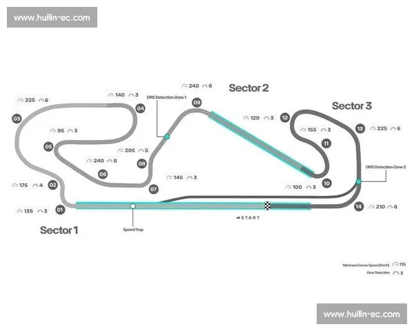 F1车队赛道策略解析及赛季胜负关键因素研究